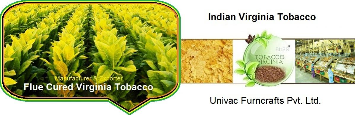 Virginia Bright Leaf Tobacco